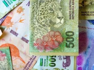 billetes argentinos con logo del fmi