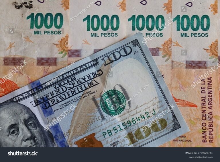 Qué es el cepo del dólar en Argentina y cómo afecta a la economía