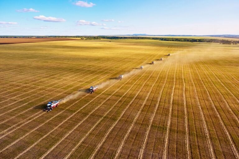 Cuáles eran los principales productos que exportaba Argentina en el modelo agroexportador