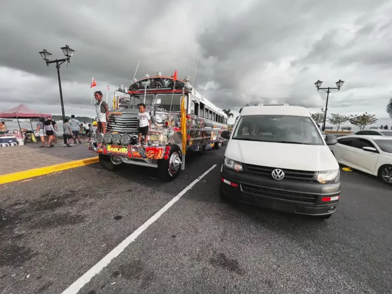 Qué hacer y a quién llamar tras un accidente en la ruta Panamericana 2 emergencia vial en autopista panamericana