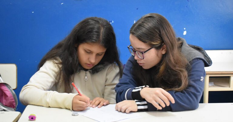 Qué es Escuela PROA EDU AR y cómo funciona en Argentina