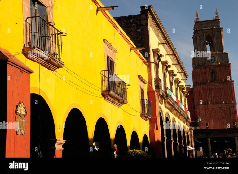 Dónde queda y qué ofrece el centro mayorista El Jardín del Colmenar