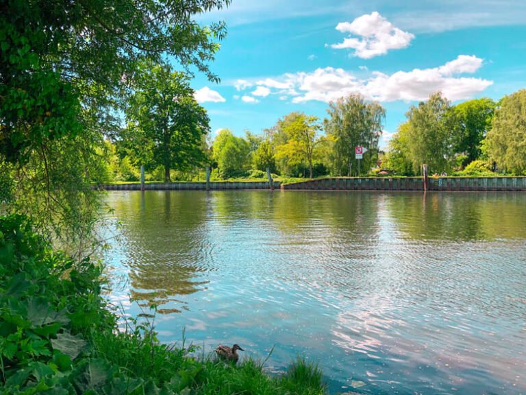 Qué ofertas y actividades encontrar en Santa Elena Pilar del Este